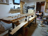 P1000796(1)